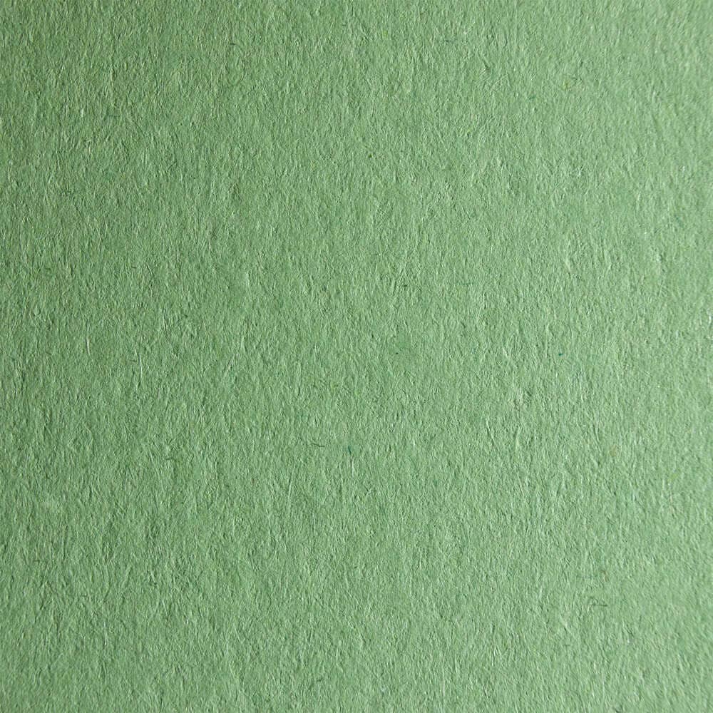 Cartulina California 260grs6