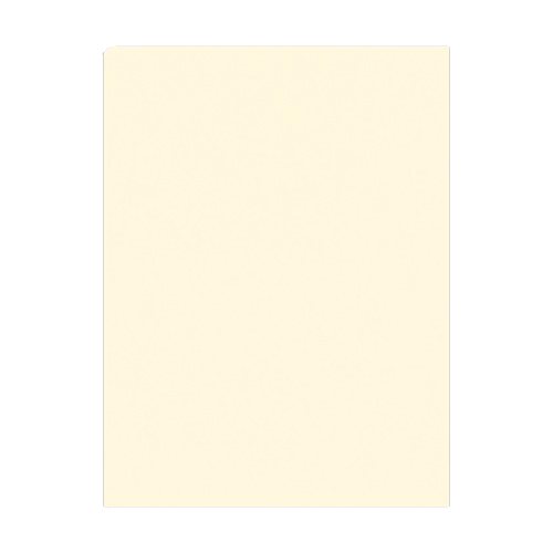 Carton Pintado 220grs19