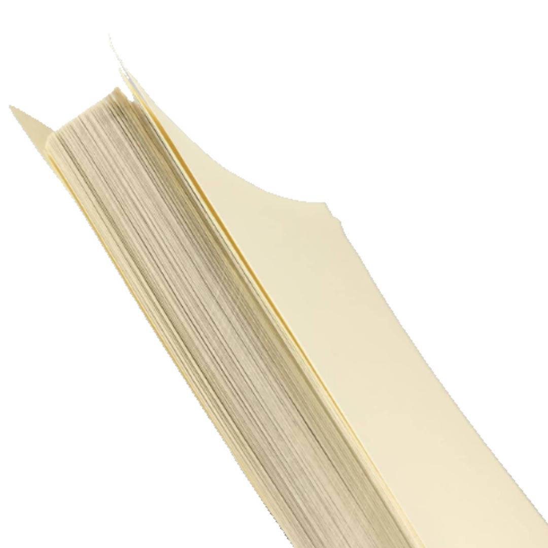 Resma Bond Ahuesado 100grs3