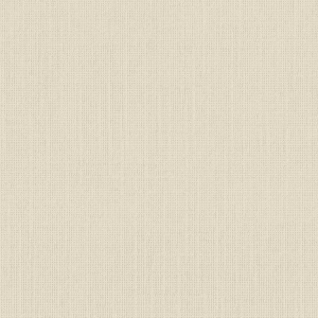 Cartulina Holanda 220grs9