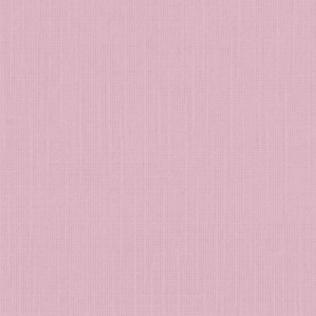 Cartulina Holanda 220grs10