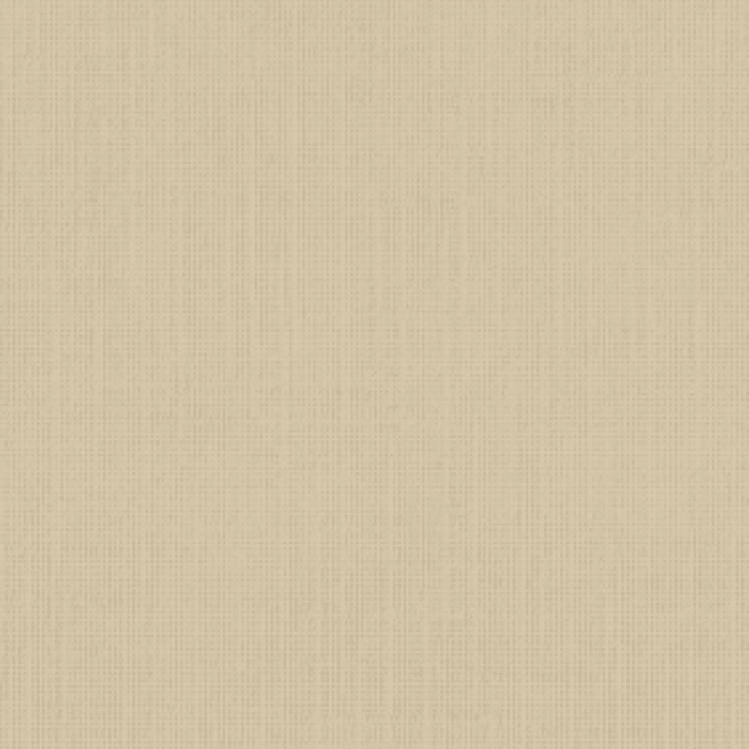 Cartulina Holanda 220grs12