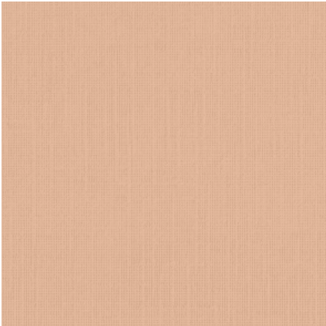 Cartulina Holanda 220grs11