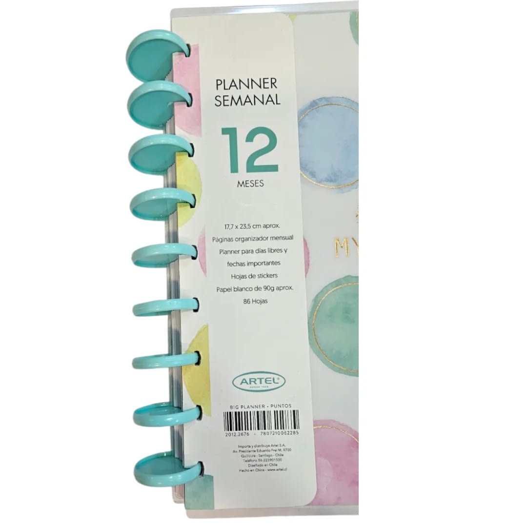 Planner Big Planner 12 Meses Sin Fecha 17x23cm2