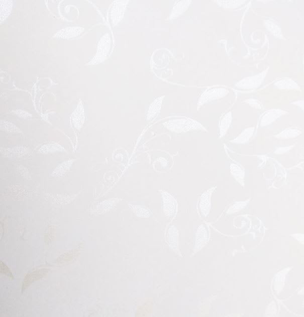 Cartulina Garden 220grs3