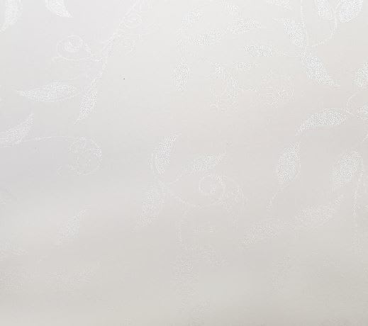 Cartulina Garden 220grs2