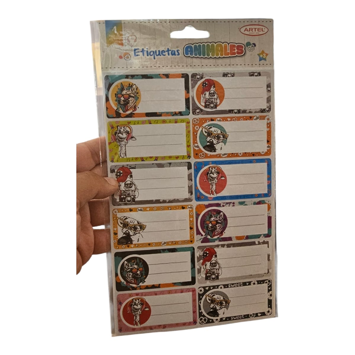 Set 12 Etiquetas Escolares Adhesiva 3,3x6.6cm2