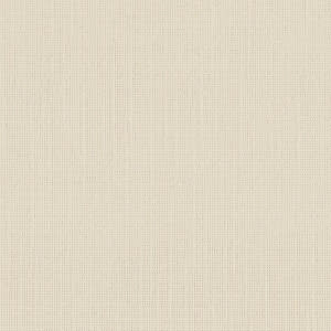 Cartulina Holanda 220grs2