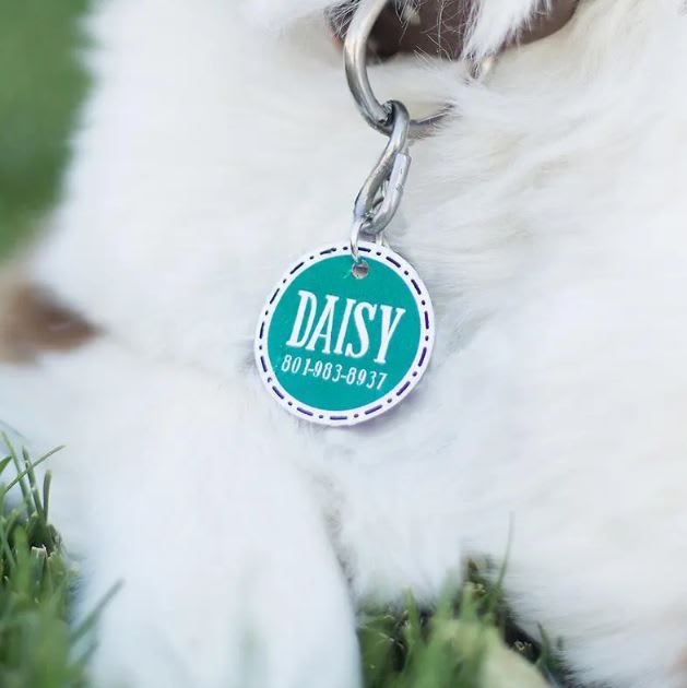 Jewelry Starter Kit – Kit de Inicio de Joyeria de Fantasia4