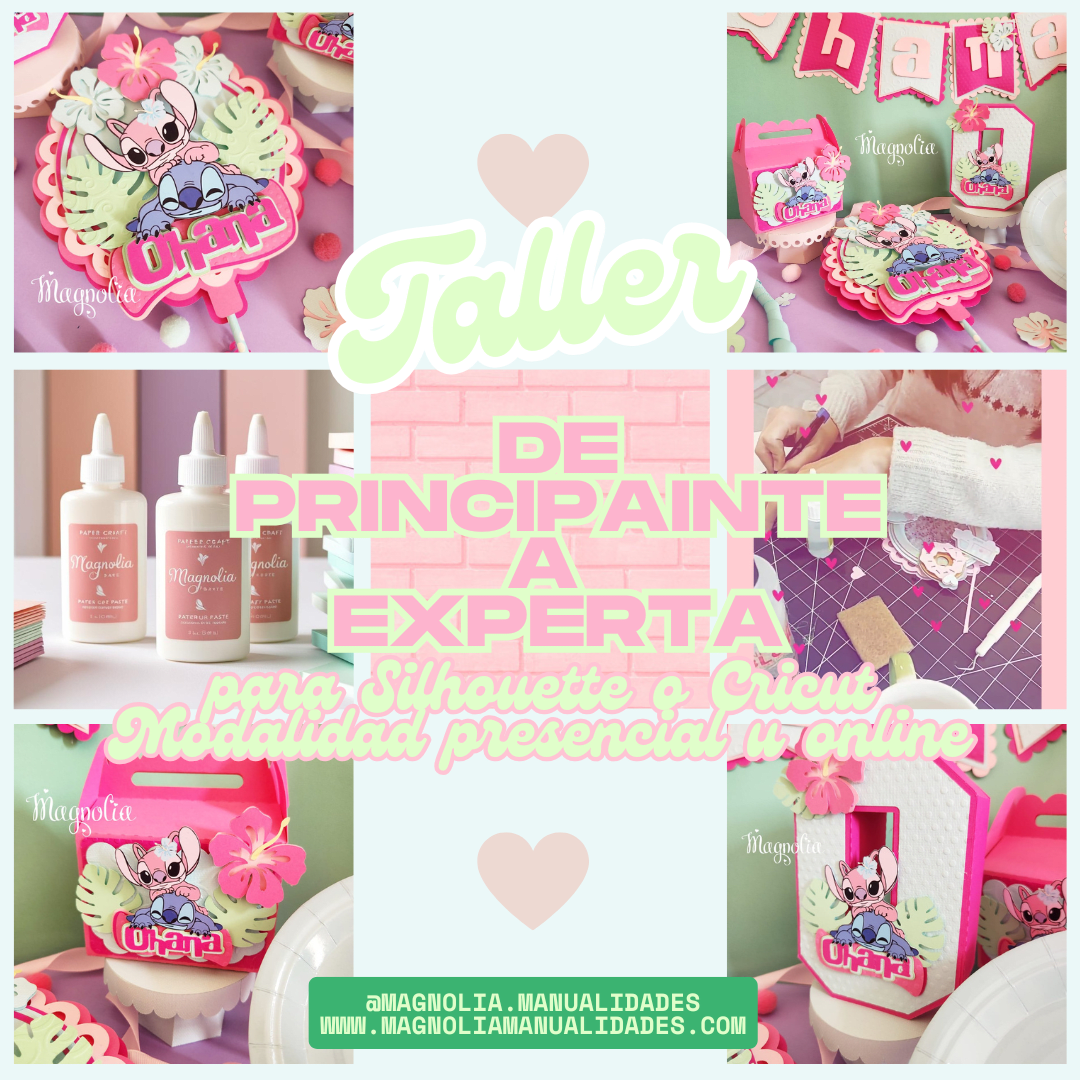 Taller de Principiante a Experta Con Carolina Urdaneta5