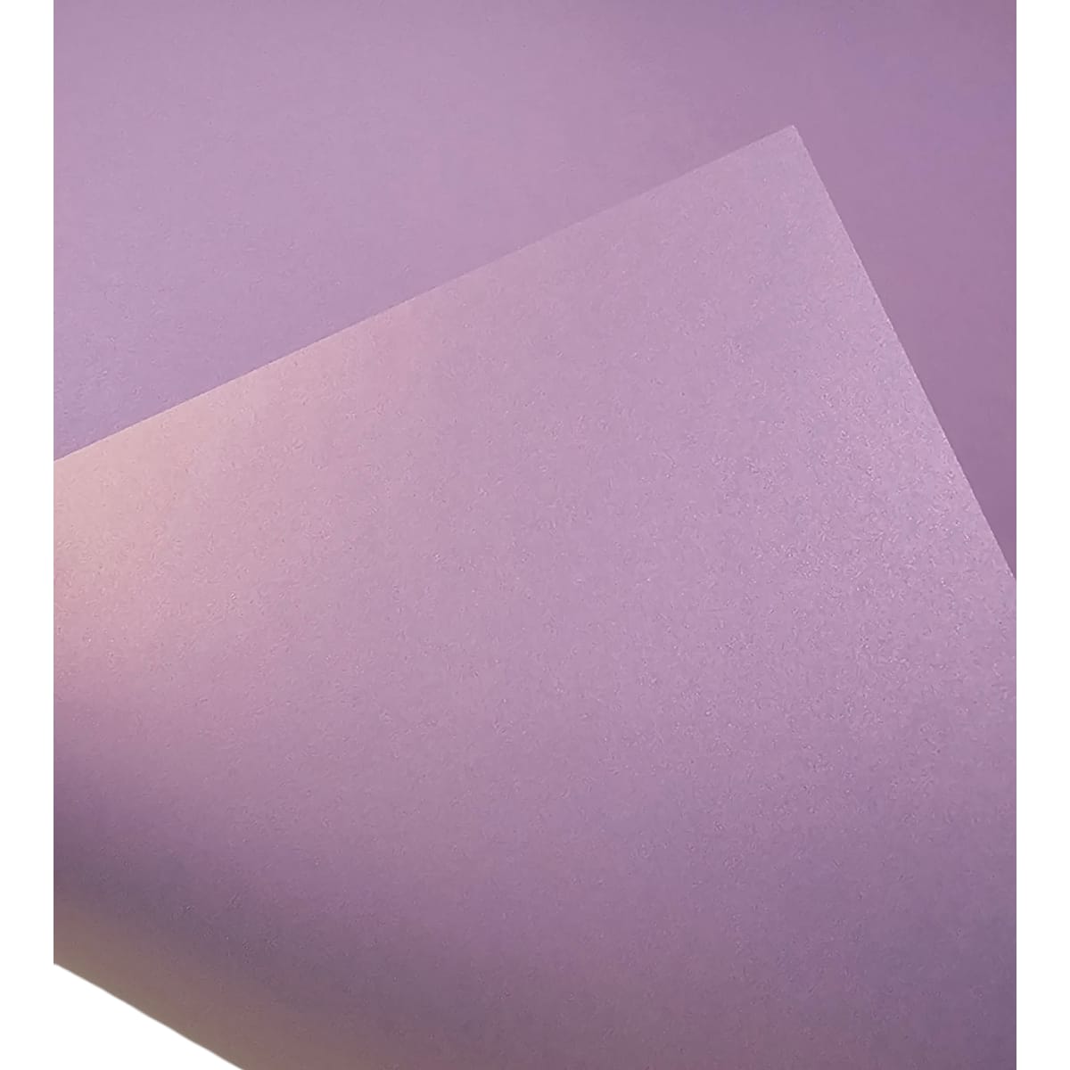 Cartulina Majestic 250grs13