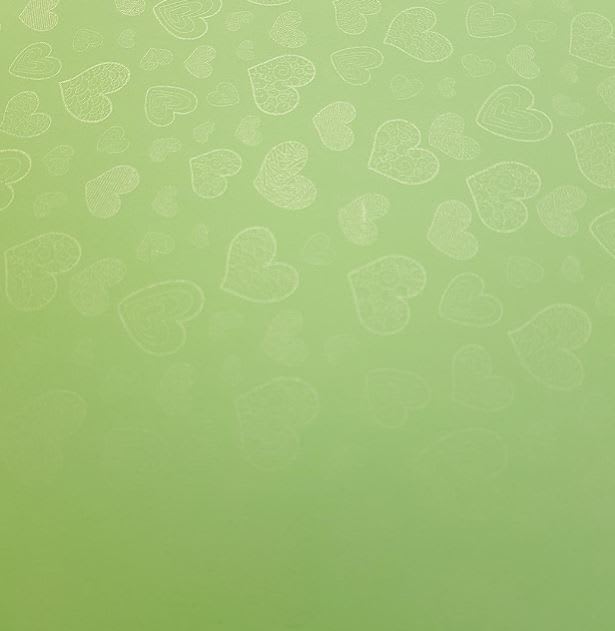 Cartulina Santorini 220grs5