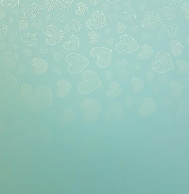 Cartulina Santorini 220grs2