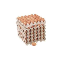 CAJA HUEVOS PRIMERA COLOR (180 UNID)