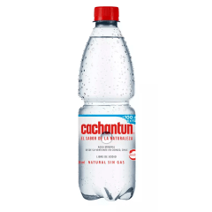 PACK CACHANTUN 600 ML SIN GAS (12 UNID)