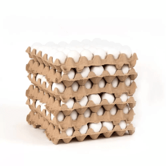 CAJA HUEVOS SUPER BLANCO (100 UNID)