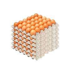 CAJA HUEVOS SUPER COLOR (100 UNID)