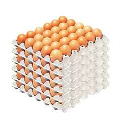 CAJA HUEVOS EXTRA COLOR (180 UNID)