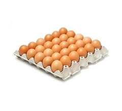 BANDEJA HUEVOS EXTRA COLOR (30 UNID)