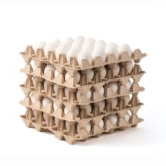 CAJA HUEVOS JUMBO BLANCO (100 UNID)