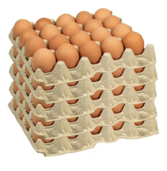 CAJA HUEVOS JUMBO COLOR (100 UNID)