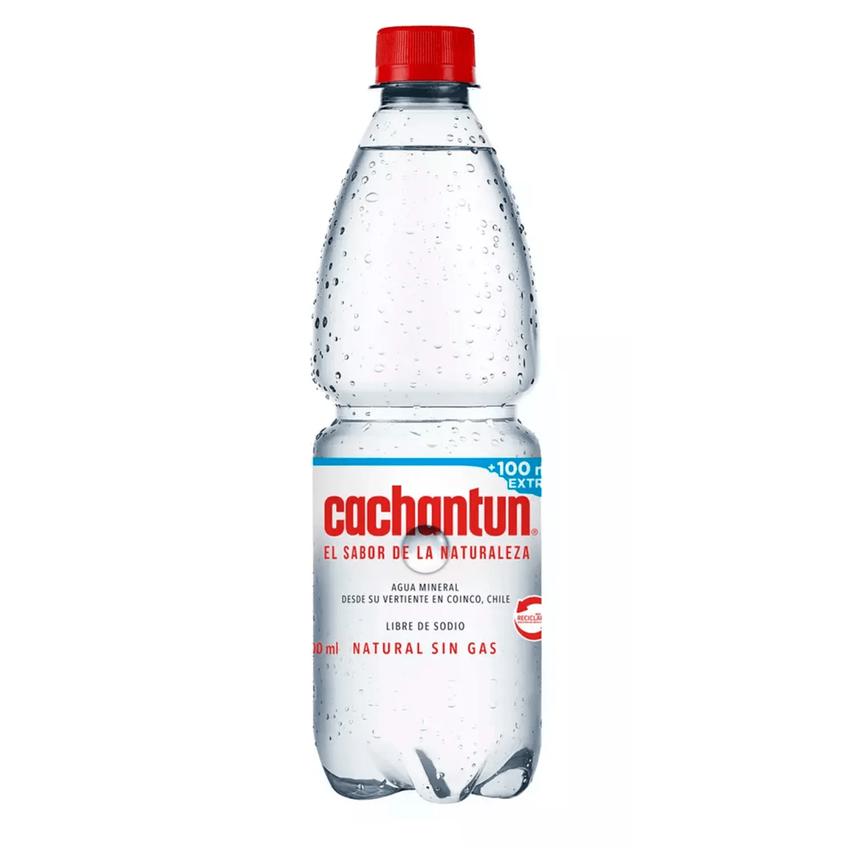 PACK CACHANTUN 600 ML SIN GAS (12 UNID)1