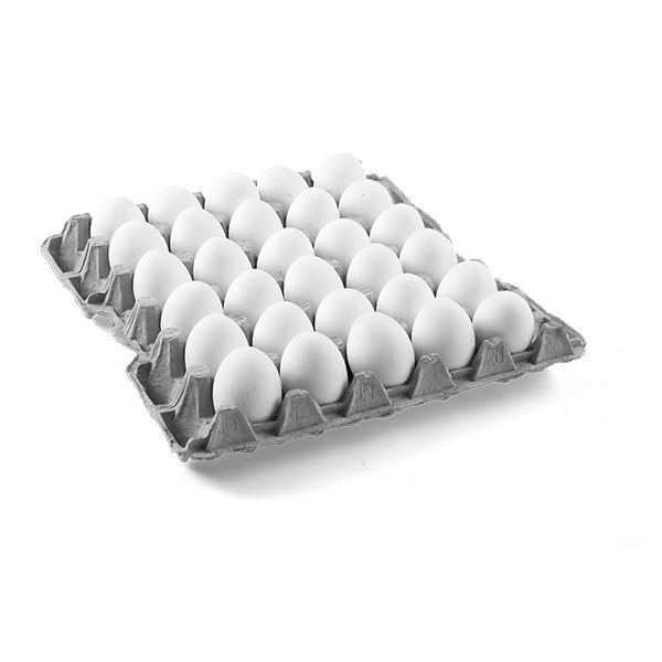 BANDEJA HUEVOS PRIMERA BLANCO (30 UNID)1