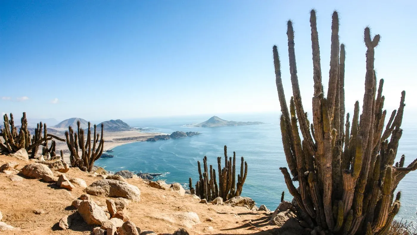 Cactus-covered clifftop overlooking the Pacific coast in Northern Chile