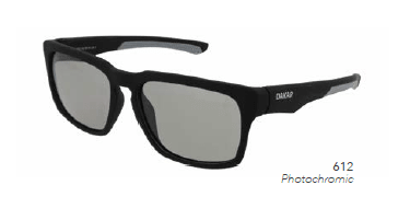 DAKAR - ANTEOJOS PHOTOCHROMATIC DA10011 612