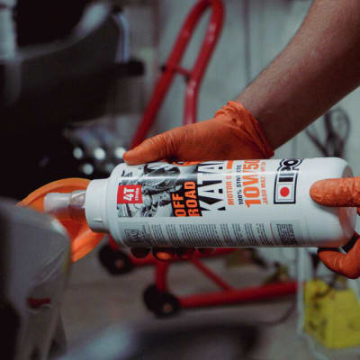 MANTENCION BIGTRAIL BASICA