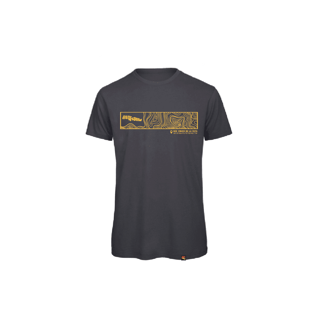 POLERA RUTA GREY LA1