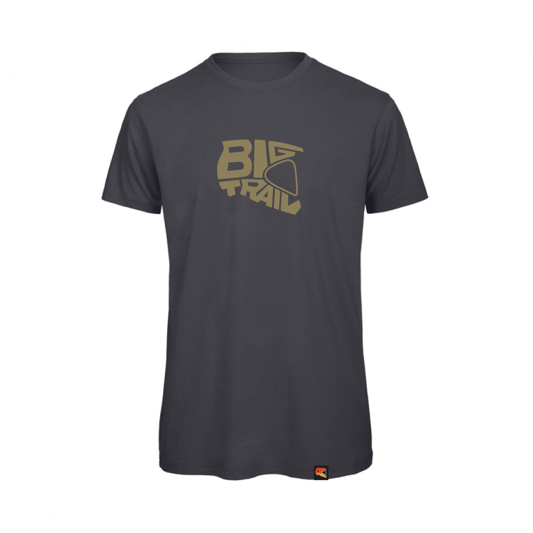 POLERA CUMBRE DARK GREY LV1