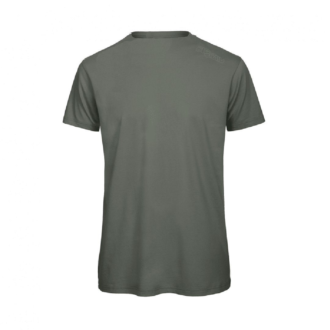 POLERA TEMPLO LIGHT GREEN LV2