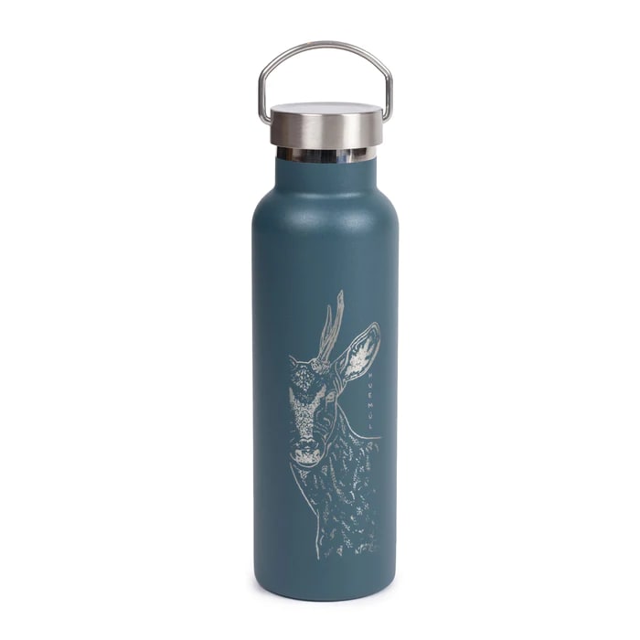 BOTELLA TERMICA HUEMUL 600ML1