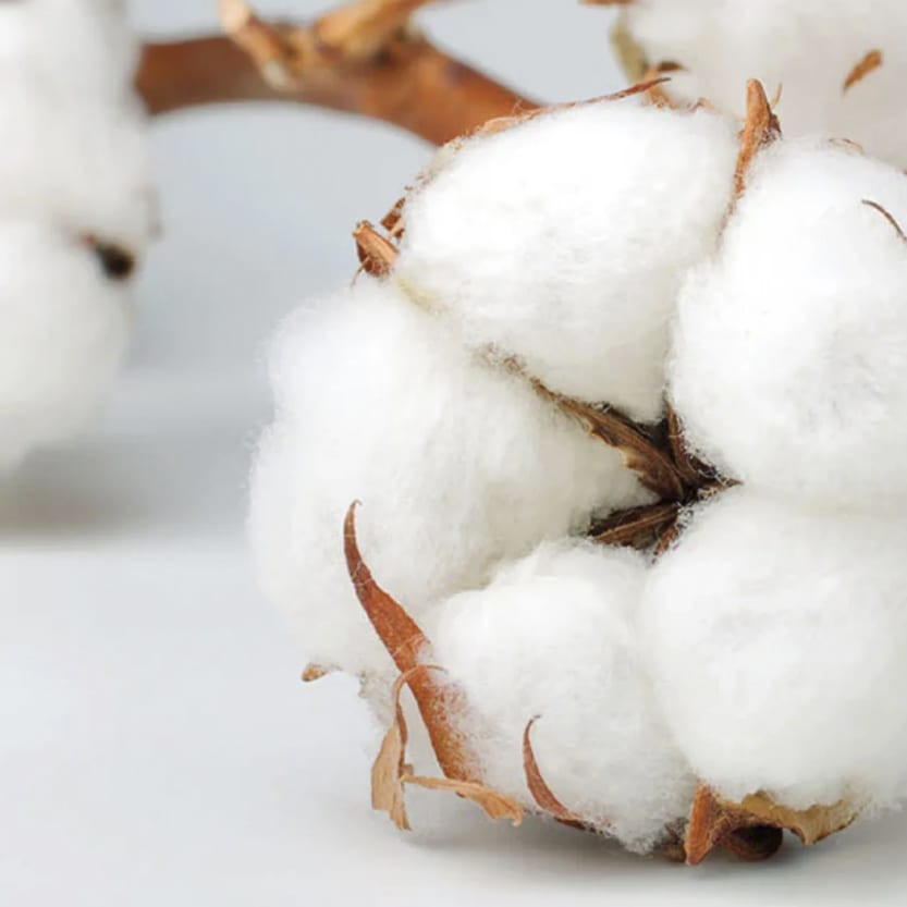 No necesitas más, necesitas cuidar más.