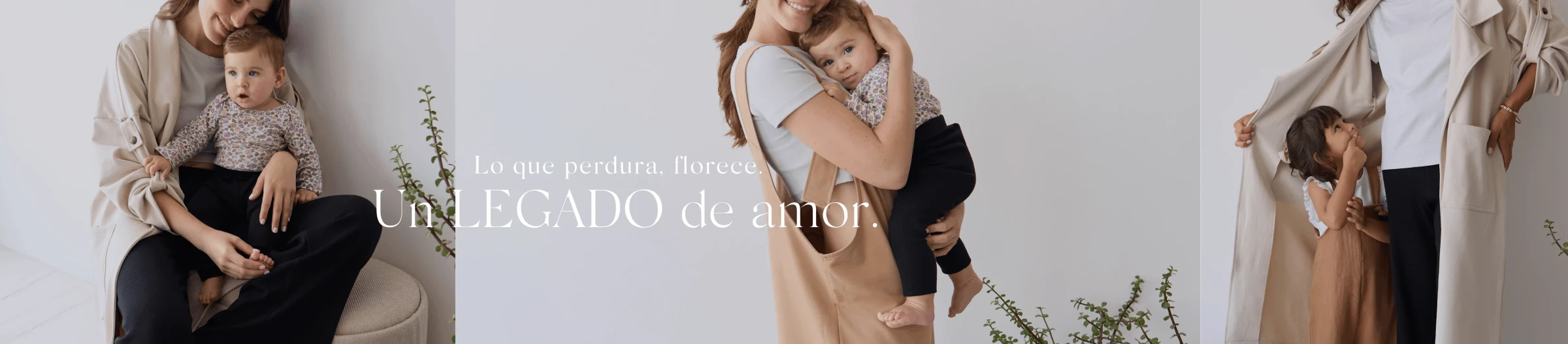 Nueva Colección