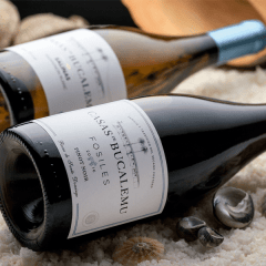 Casas de Bucalemu: 470 años de tradición