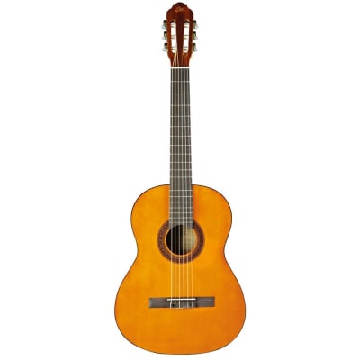 GUITARRA CLASICA STUDIO NYLON EKO CS-12