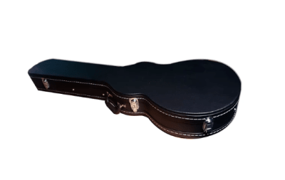 LPC-01 CASE LES PAUL HEBIKUO