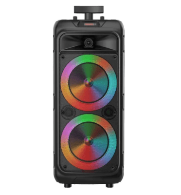 ZQS8211 Parlante karaoke 2 X 8