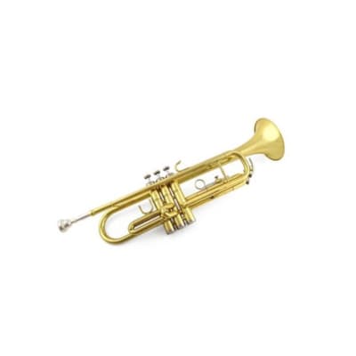 TRO-82 TROMPETA CON ACCESORIOS 040IMC4300 ETINGER