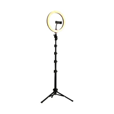 Kit de luz anillo 10
