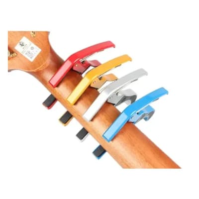 BDJ-001 Cejillo Guitarra acústica/eléctrica1