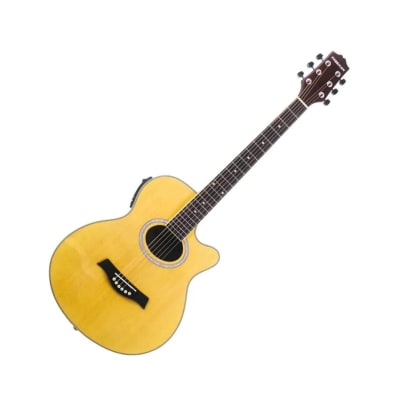 FRA95SCET NT GUITARRA E/A METAL FREEMAN