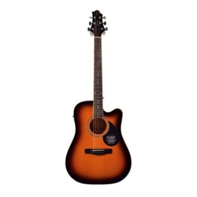 GUITARRA ELECTRO ACUSTICA GREG BENNETT GOM-100SCE/VINTAGE S3
