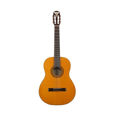 EAP2ANCH1 Guitarra acústica antique natural EPIPHONE