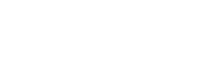 APG Logistic