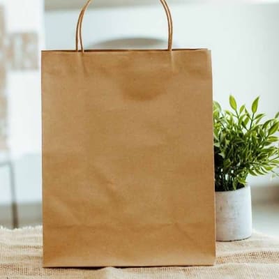 Bolsas y sacos kraft