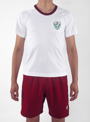 PI POLO