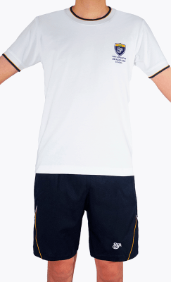 SIR POLO1